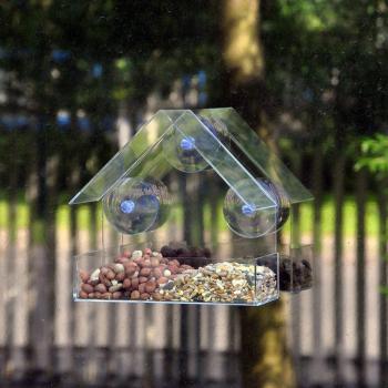 Clear View Bird Feed Table