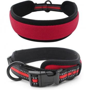 Collar de seguridad LED para perros