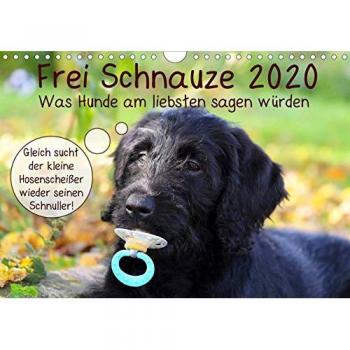 Frei Schnauze 2020. Was Hunde am liebsten sagen würden