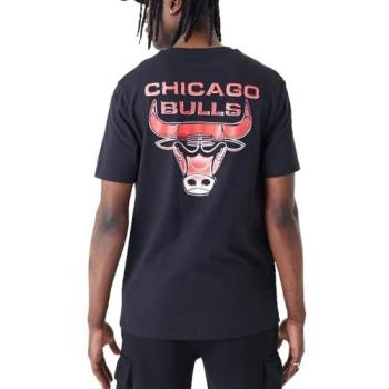 T-shirt Sportif Chicago Bulls 60435487
