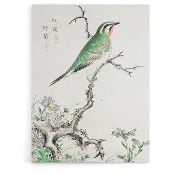 Wild Chamomile & Ruby Throat Bird Canvas Art – 12×16 (Kashu)