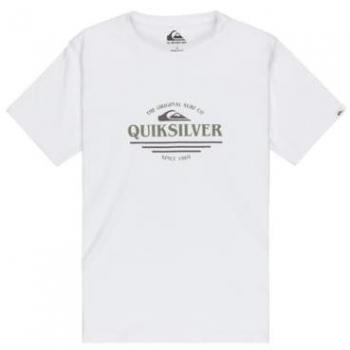 Quiksilver T-Shirt Ev Type Line für Kids