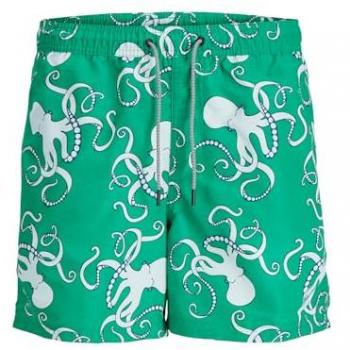 Jack & Jones Fiji Bikini Verde Elegante