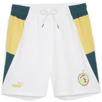 Pantaloni Corti Uomo Puma Senegal 2023