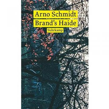 Brand’s Haide: Roman (suhrkamp taschenbuch)
