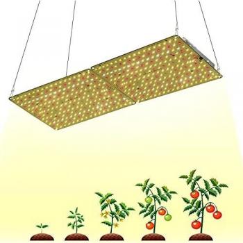 Éclairage de culture LED, 2000W Remplacement HPS, entrée 100-265V, spectre complet pour légumes d'intérieur