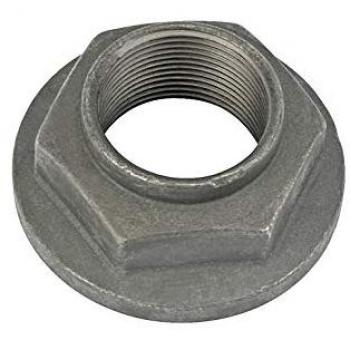 Porca do Eixo de Transmissão DT Spare Parts 4.40391
