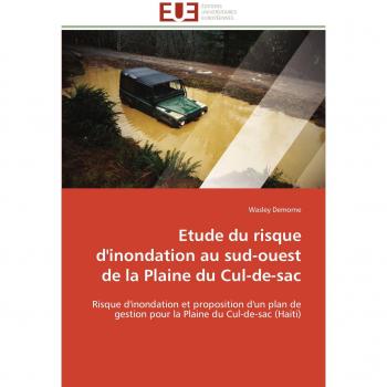 Etude du risque d'inondation au sud-ouest de la Plaine du Cul-de-sac: Risque d'inondation et proposition d'un plan de gestion pour la Plaine du Cul-de-sac