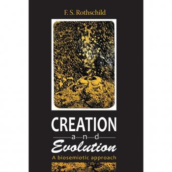Vitalsource Technologies, Inc. Creation And Evolution