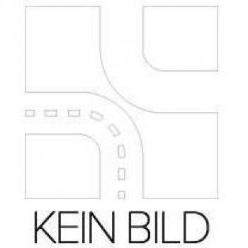 CHAMPION OE041/T10 Candela accensione