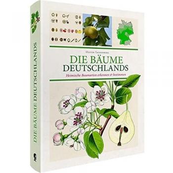 Die Bäume Deutschlands: Heimische Baumarten erkennen & bestimmen