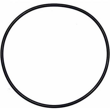 Aqualux O-Ring für Ardeche-Filterkuppel 180 mm