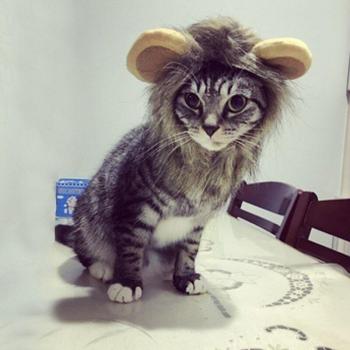 Dog and Cat Lion Mane Headpiece with Muffler