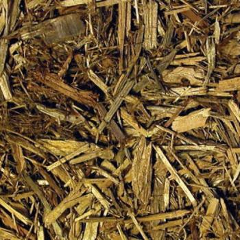 Substrato Natural Zoo Med Floresta 8,8 L