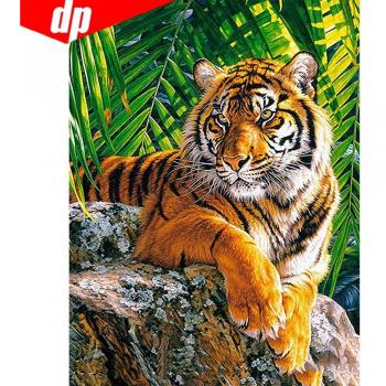 Peinture Diamant Complète 20X30
