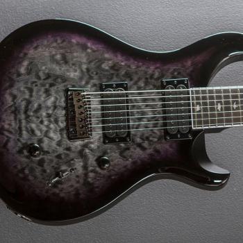 PRS SE Mark Holcomb SVN Signature Model