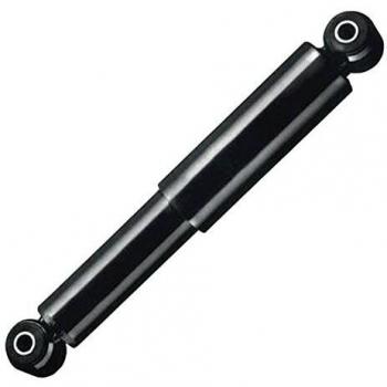Ammortizzatore Posteriore Kayaba Clio II 343289