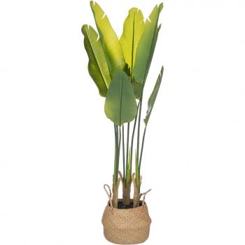 Planta artificial de strelitzia en maceta de cemento 150 cm