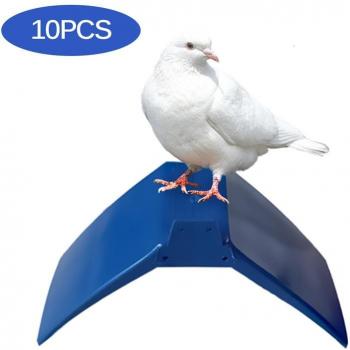 Parrot Perch Frame Collection