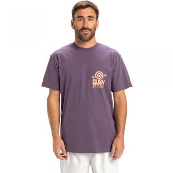 Quiksilver T-Shirt Viola Regular Fit Sottile