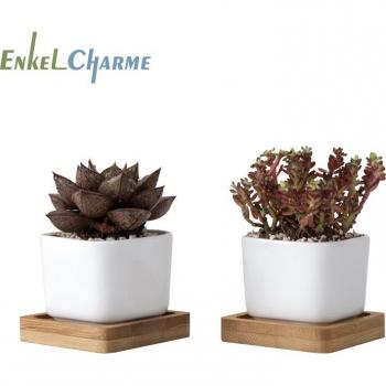 Minimalist White Ceramic Cactus Flower Pots with Tray