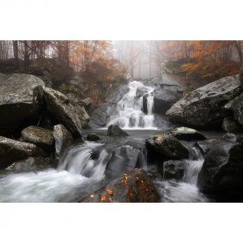 Foto‑Wall Herbstnebel von Papermoon – Francesco Tavani Edition