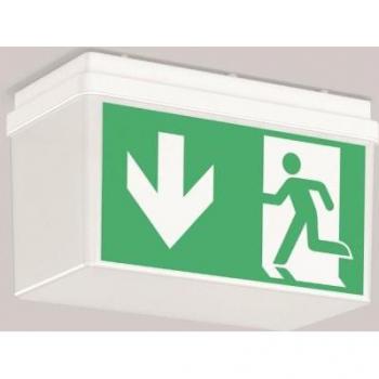 Luce di Sicurezza RZB Insegna LED
