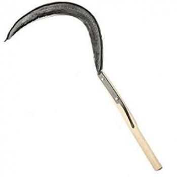 Outil de coupe Seghezzio 540 mm en acier forgé