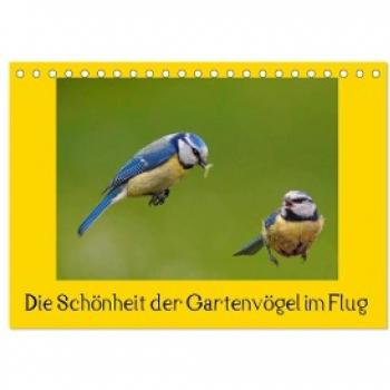 Die Schönheit der Gartenvögel im Flug (Tischkalender 2024 DIN A5 quer) CALVENDO Monatskalender