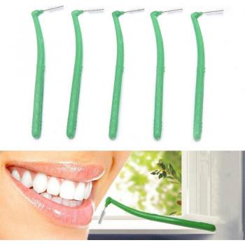 Adult Dental Floss Picks