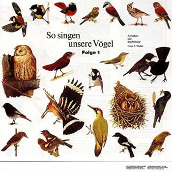 Vogelstimmen I