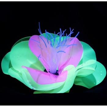 Simulation Aquarium Artificiel Anémone et Plantes