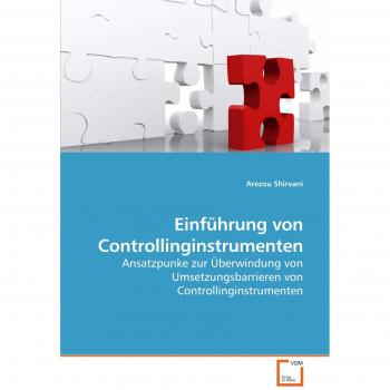 Einführung von Controllinginstrumenten