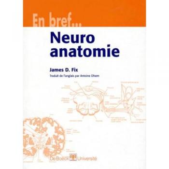 Neuroanatomie