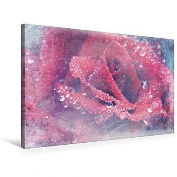 Stilvolle Rosenprint-Leinwand 75x50 cm – Romantische Pastell‑Rose