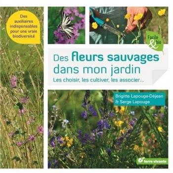 Des fleurs sauvages dans mon jardin