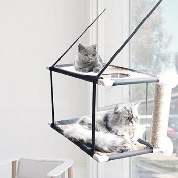 Cat Climbing Bed