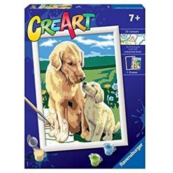 CreArt Serie D Classic Retriever sul prato