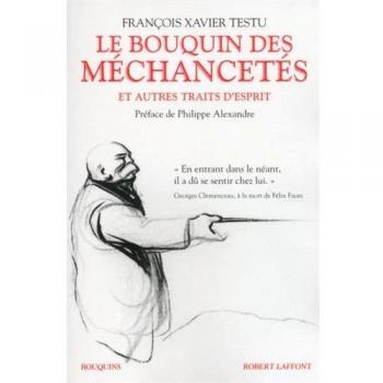 Le bouquin des méchancetés et autres traits d'esprit