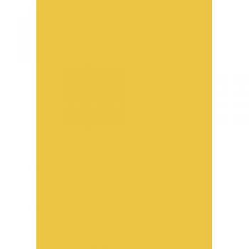Papier couleur 50x70 130g – Tendance Mangue
