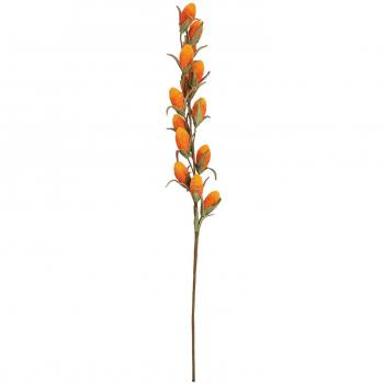 Plante en Eva Branche de Buriti