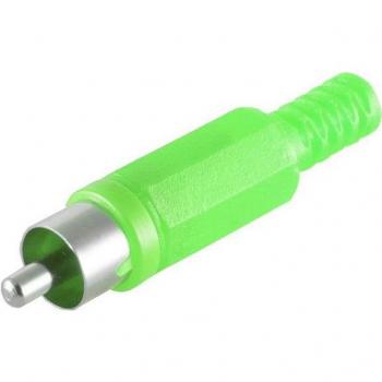 Spina RCA Verde Shiverpeaks Connettività