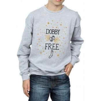 Harry Potter jongens Dobby sweatshirt