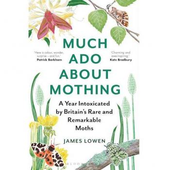 Much Ado About Mothing