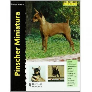 Pinscher miniatura