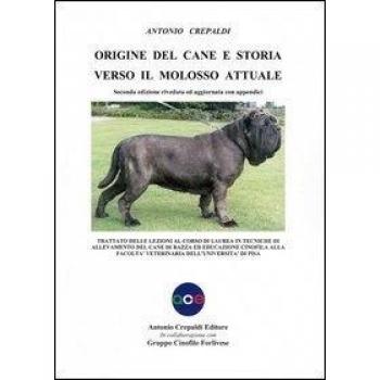 Origine del cane e storia verso il molosso attuale