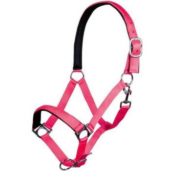 Capezza Equina Fucsia Neon Stars