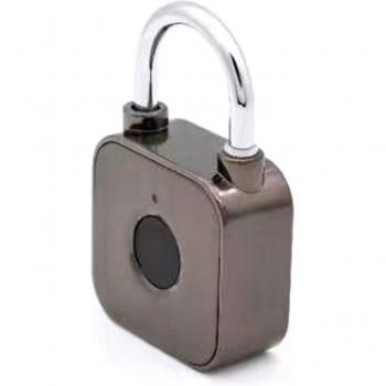 Anti-Theft Fingerprint Lock