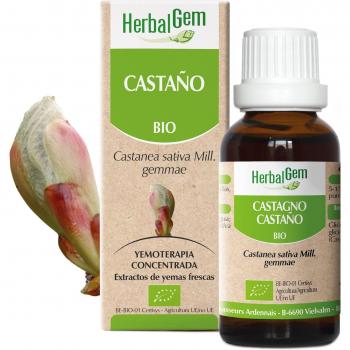 Castanha Pura 15 ml