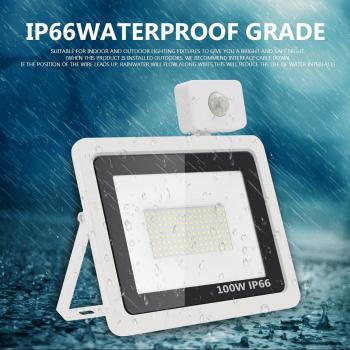 220V LED Flood Light 100W